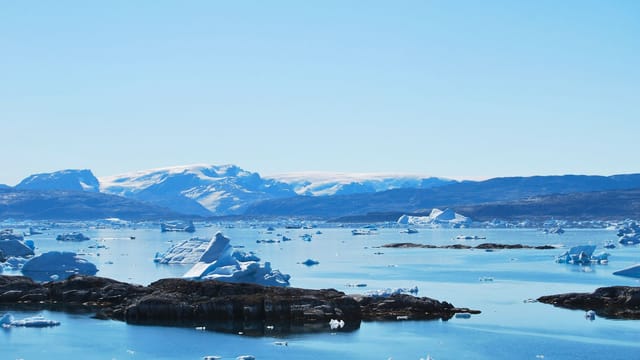 A breathtaking view of icebergs floating in a tranquil sea with distant snow-capped mountains, captured in Greenland.