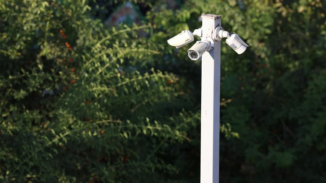 Cluster of surveillance cameras mounted outdoors amidst green foliage for public safety.