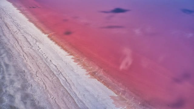 Stunning aerial shot of a pink lake shoreline, showcasing vibrant contrasts and unique colors.