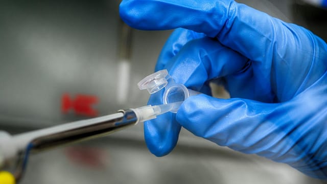 Crop unrecognizable scientist in blue latex gloves taking sample from plastic tube in modern laboratory