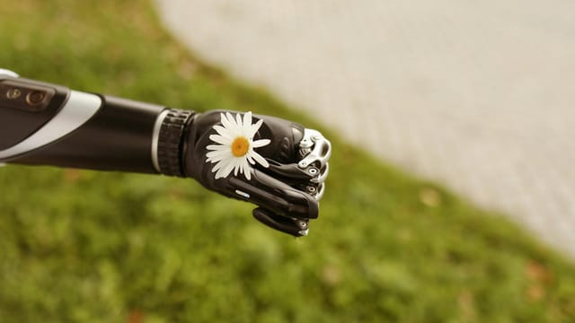 Close-up of a prosthetic hand gently holding a daisy, symbolizing technology and nature.