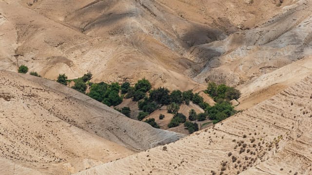 A stunning aerial shot of Israel's arid desert terrain with patches of greenery.