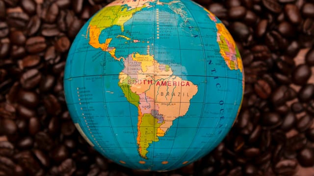 Close-up of South American globe encircled by rich coffee beans, emphasizing geography and culture.