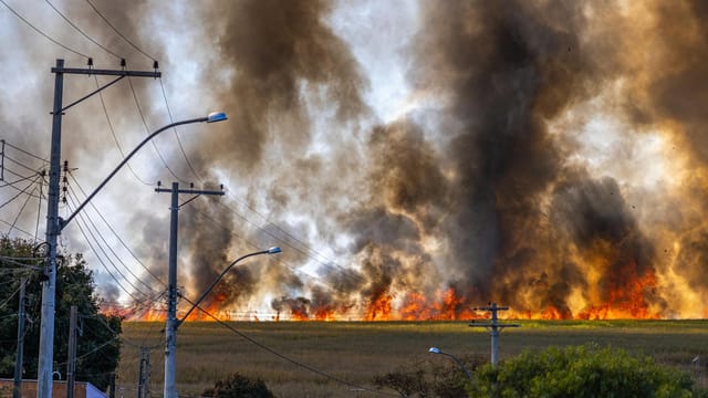Rural landscape with a field engulfed in flames and thick smoke rising under a clear sky.