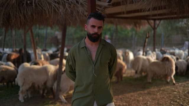 Bearded man poses confidently among a herd of sheep in a rustic farm setting, creating a pastoral vibe.