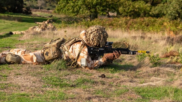 Camouflaged soldier lying in a grassy field aiming a rifle, showcasing tactical stealth.