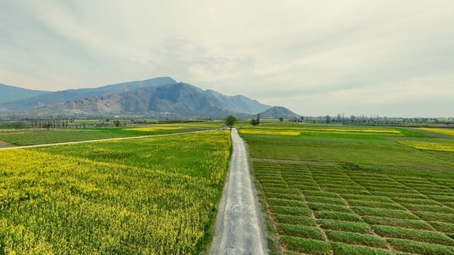 Expansive green fields stretch to the mountains under a bright sky, capturing rural tranquility.