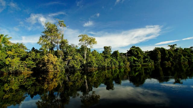 Peaceful scene of a lush river landscape in Alta Floresta, Brazil, with lush trees reflecting on the water.