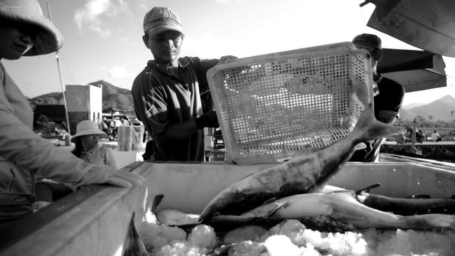 Fishermen sorting seafood at an outdoor market in Nha Trang, Vietnam, on a bright day.