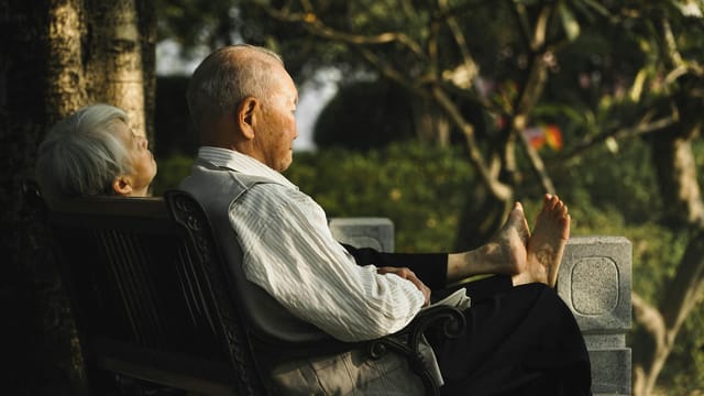 Senior couple enjoying a peaceful afternoon on a bench in a serene park.