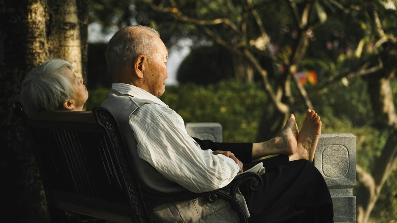 Senior couple enjoying a peaceful afternoon on a bench in a serene park.