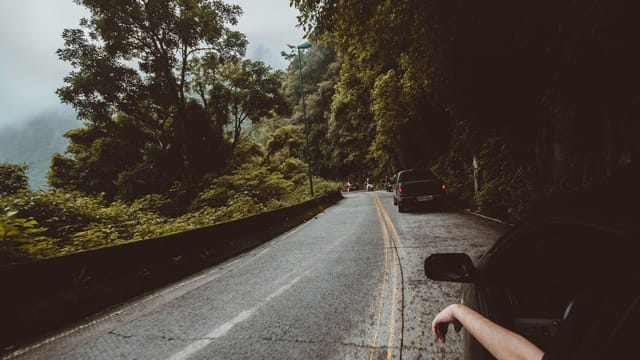 Illustrative image: Car journey through a winding forest road under misty weather, capturing nature and adventure.