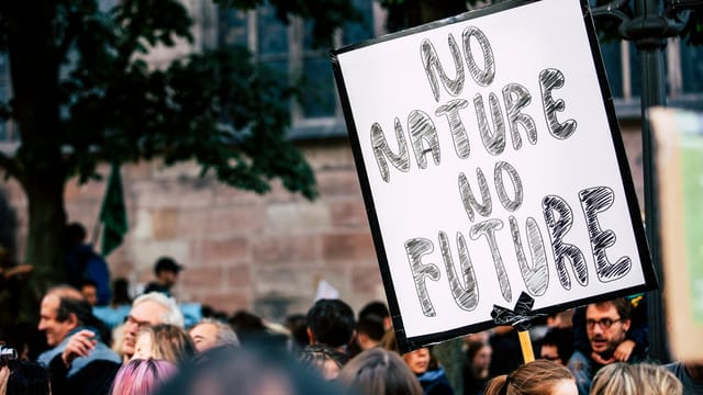 Large group of people rallying with a sign advocating for nature protection and climate action.