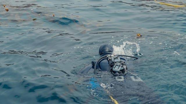 A scuba diver submerged in the ocean waters off the coast of California.