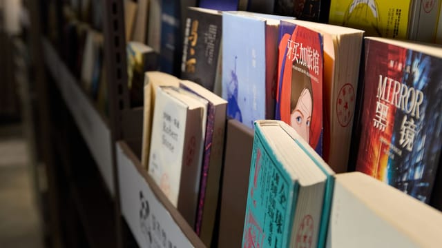 Books neatly arranged on a library shelf, showcasing a variety of genres and languages.