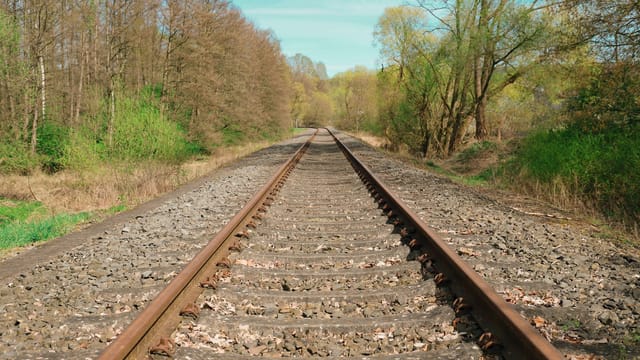 Peaceful railway track amidst lush greenery and trees in a sunny setting.