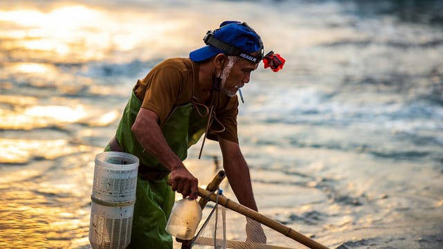 Close-up of an adult fisherman working by the sea in Taiwan during sunset.