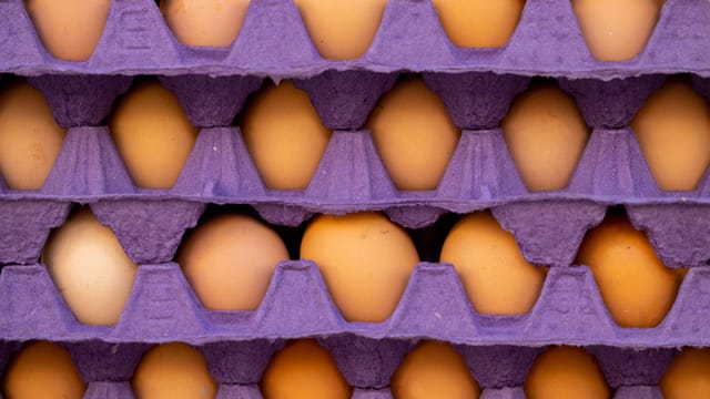 Vibrant brown eggs neatly stacked in purple egg trays for food packaging insight.
