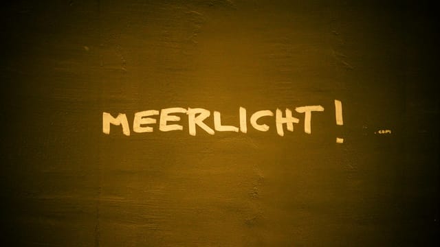 Graffiti reading 'Meerlicht' on a dark textured wall in warm lighting.