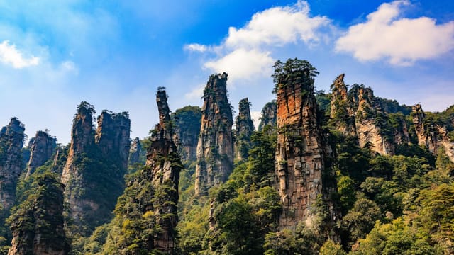 Stunning view of Zhangjiajie's towering stone pillars under a bright blue sky, surrounded by lush greenery.