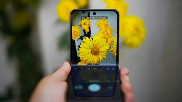A smartphone capturing vivid yellow flowers, showcasing technology and nature interaction.