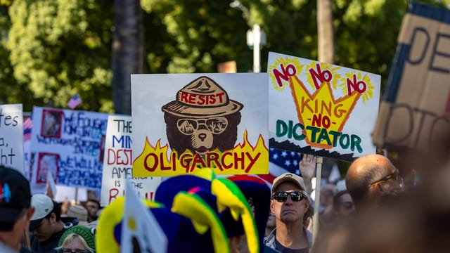 Dynamic protest scene in Sacramento highlighting political dissent with anti-oligarchy signs.