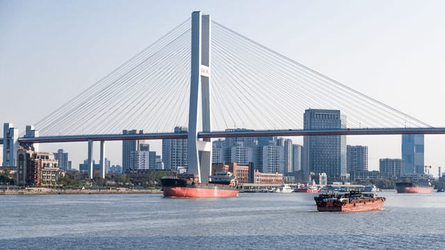 View of the Nanpu Bridge spanning the Huangpu River in Shanghai with city skyline.