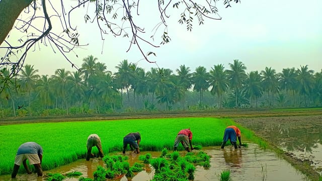 Agriculture work 1