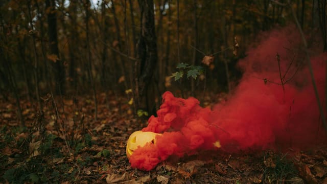 A mysterious forest setting with a Halloween pumpkin emitting colorful smoke.