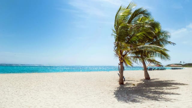 Serene tropical beach scene in La Luisa, Venezuela, featuring palm trees and clear blue waters.