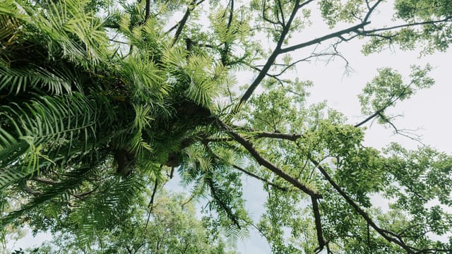 Free stock photo of 18th century architecture, 19th century architecture, 2020 background