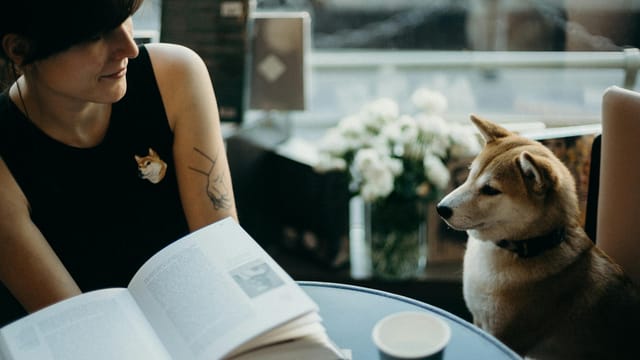 A woman reading a book with her Shiba Inu dog at a cozy cafe in Sankt-Peterburg, Russia.