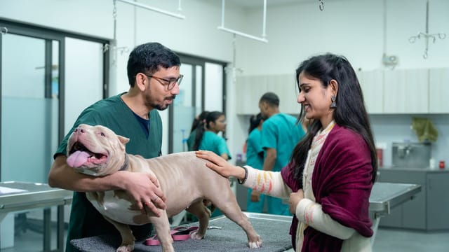 A vet examines a dog with its owner at a veterinary clinic.