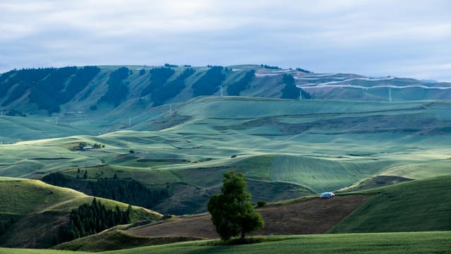 Stunning green hills and valleys in Xinjiang, China, showcasing untouched natural beauty.