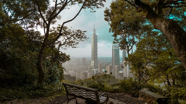A picturesque view of Taipei 101 skyscraper framed by lush greenery and a park bench.