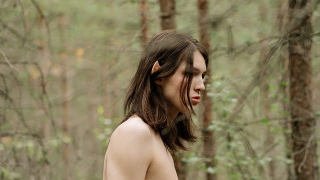 A mysterious, elf-like figure with long hair and pointed ears in a lush forest setting.