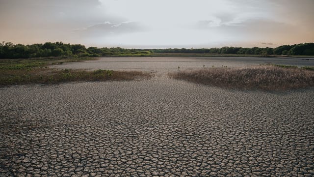 Aerial view of a cracked, dry landscape under a clear sky, highlighting climate change impact.