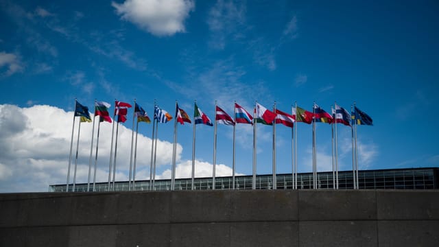 Row of European flags fluttering against a clear blue sky, symbolizing unity.