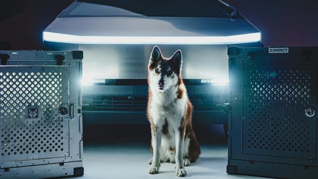 A Siberian husky sits between premium dog crates and a futuristic vehicle.