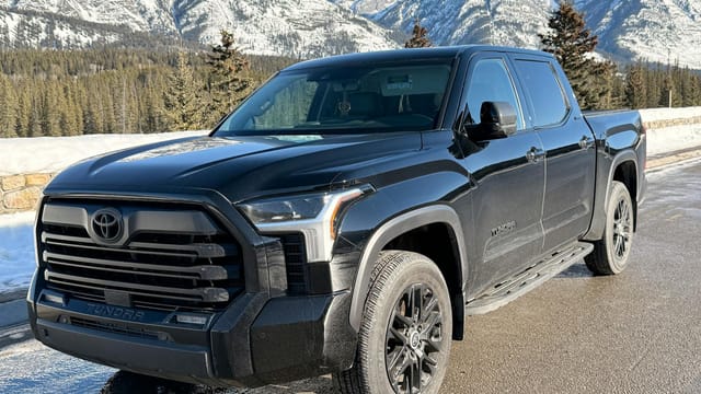Black pickup truck parked in front of snowy mountains during daytime.
