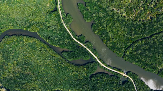 Drone shot of a winding river surrounded by dense green forest, showcasing nature's beauty.