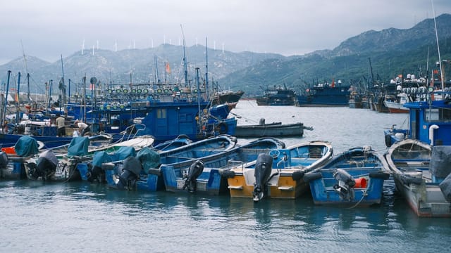 Docked fishing boats with scenic mountain backdrop at a coastal harbor under cloudy skies.