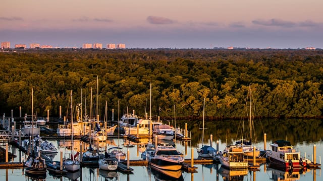 A serene morning view of yachts docked at a marina in Marco Island, Florida, with lush greenery in the background.