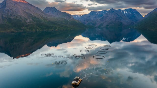 Fish farming on Øksfjorden in Loppa, Troms og Finnmark, Norway, 2022 August