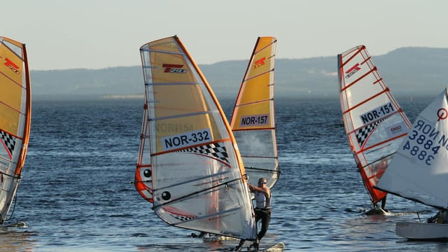 Exciting windsurfing on the Oslo Fjord with multiple sails in action at sunset. Perfect for adventure seekers.