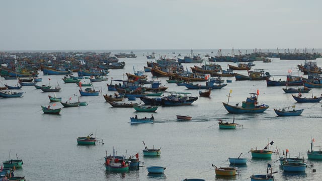 A vibrant collection of fishing boats floating on the calm ocean waters under a clear sky.
