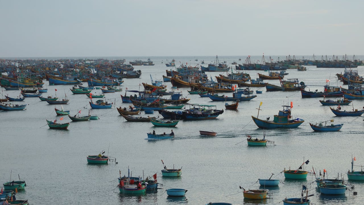 A vibrant collection of fishing boats floating on the calm ocean waters under a clear sky.