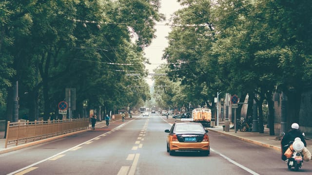 Scenic tree-lined street in Beijing, China, with cars and scooters under a tranquil sky.