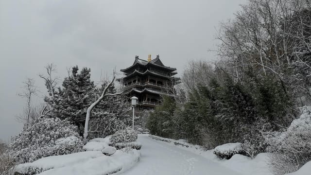 A serene winter scene featuring a Chinese temple amidst snow-covered trees in Weihai, China.