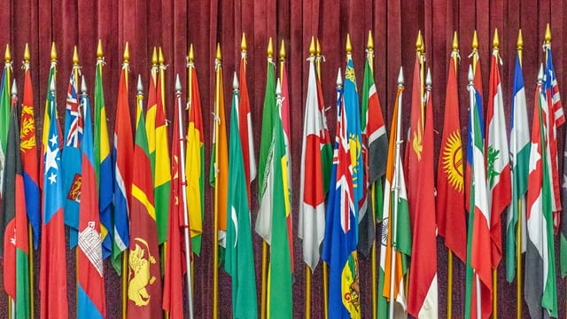 A vibrant collection of diverse national flags arrayed indoors on flagpoles.